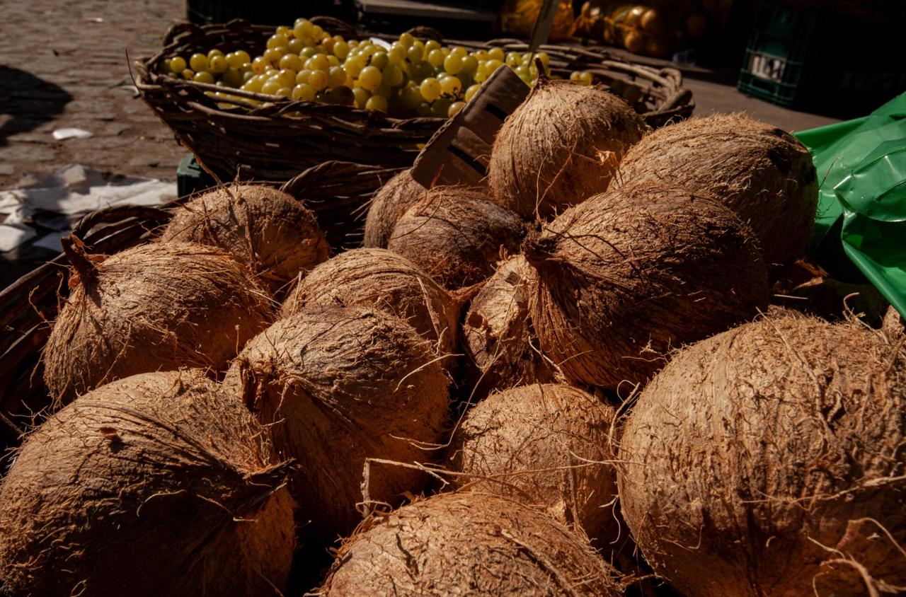 Foto: Divulgação/PMC