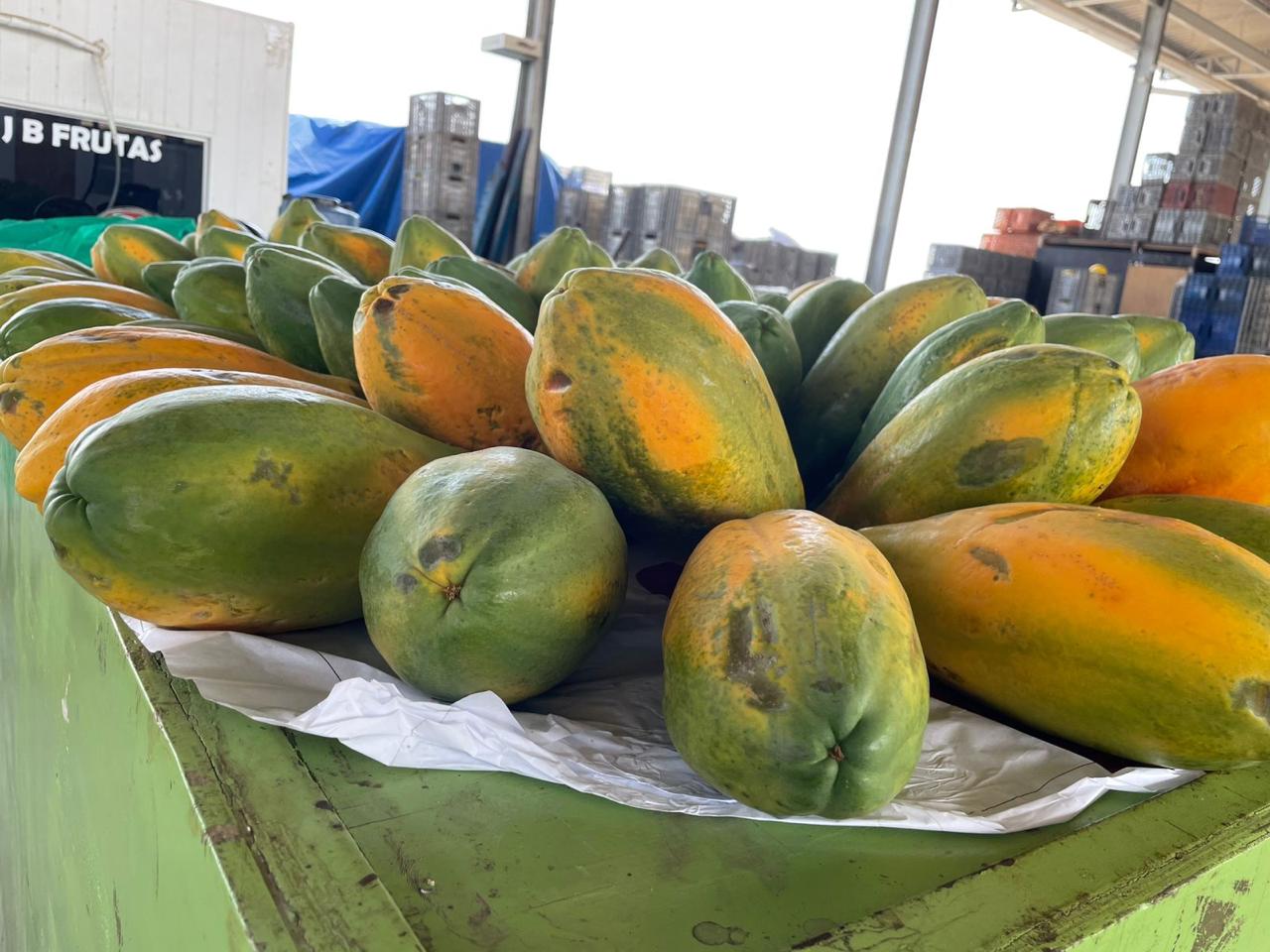 Imagem: Divulgação